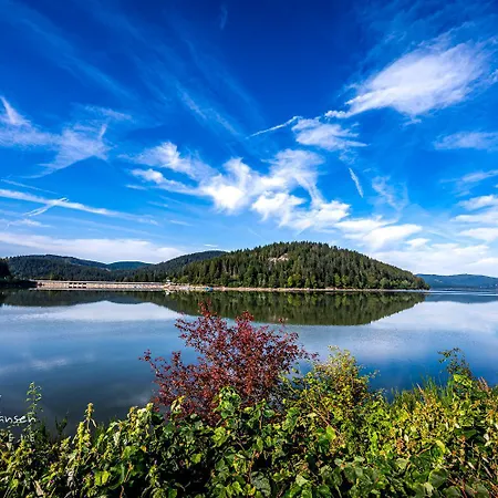 App 1003 - Ferientraum - Mit Indoorpool, Sauna, * Schluchsee