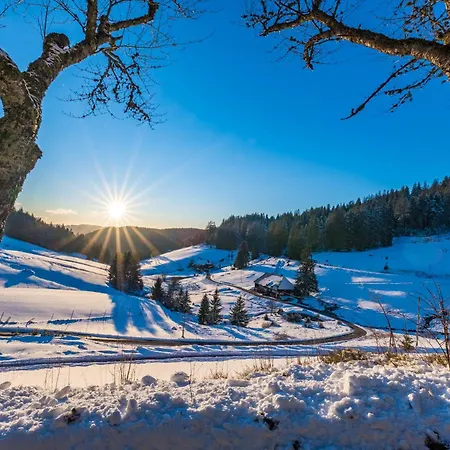 App 1003 - Ferientraum - Mit Indoorpool, Sauna, Appartement Schluchsee