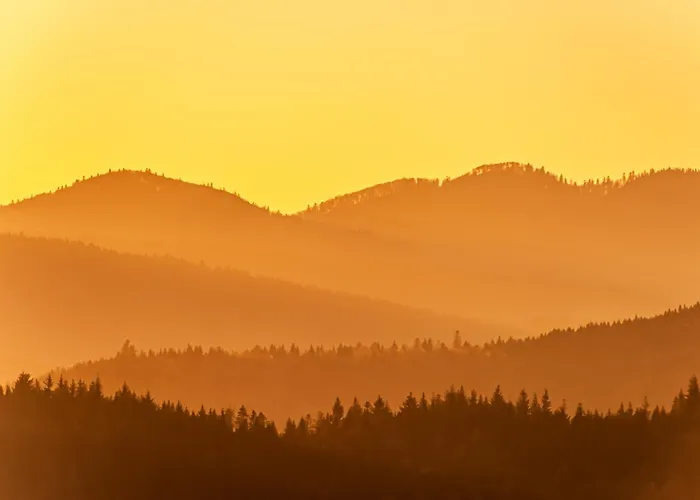 App 1003 - Ferientraum - Mit Indoorpool, Sauna, Apartment