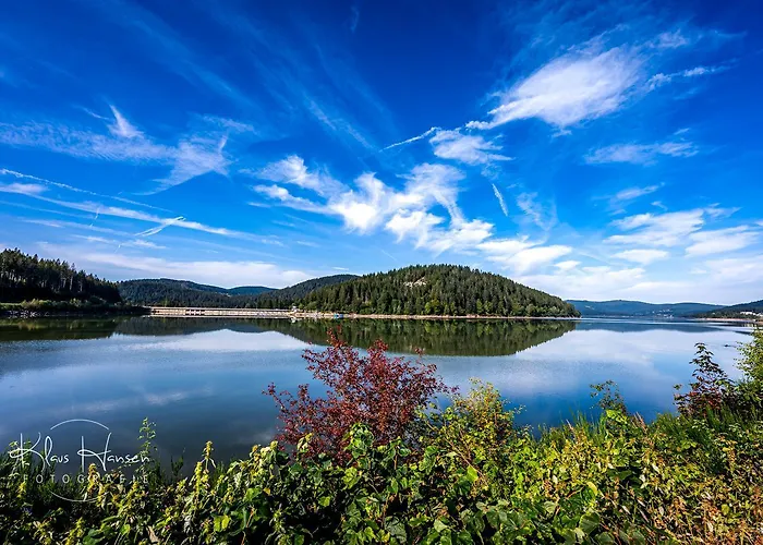 App 1003 - Ferientraum - Mit Indoorpool, Sauna, 3* Schluchsee